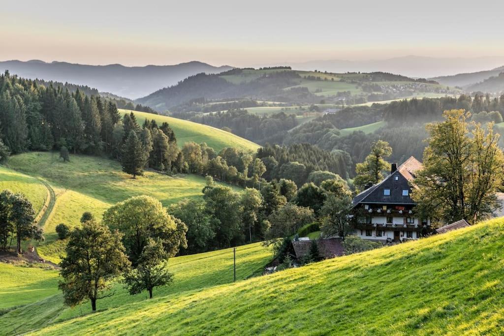 Sieben Tannen Titisee + Hochschwarzwald Card Apartment Bagian luar foto