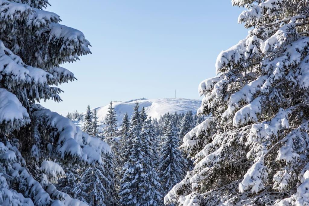 Sieben Tannen Titisee + Hochschwarzwald Card Apartment Bagian luar foto